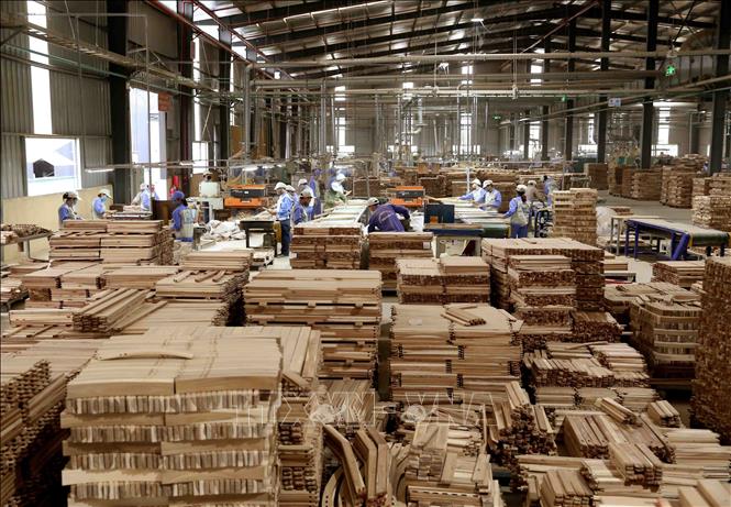 Xuất khẩu gỗ và lâm sản của Việt Nam vượt 60% mục tiêu cả năm vào tháng 7